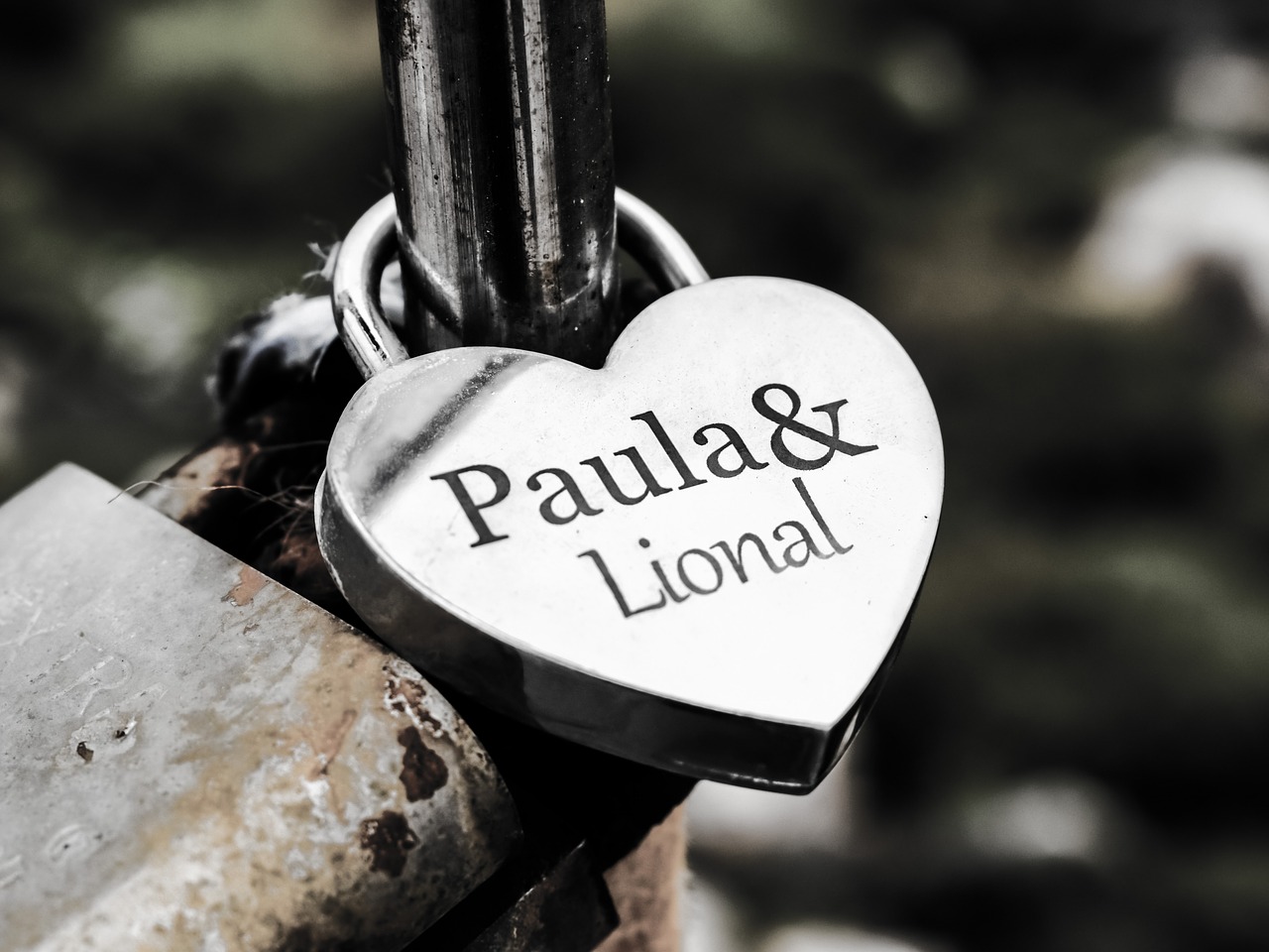 Image - love padlock lover s bridge