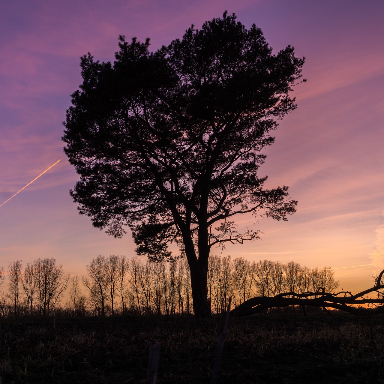Image - sunset back light dusk silhouette