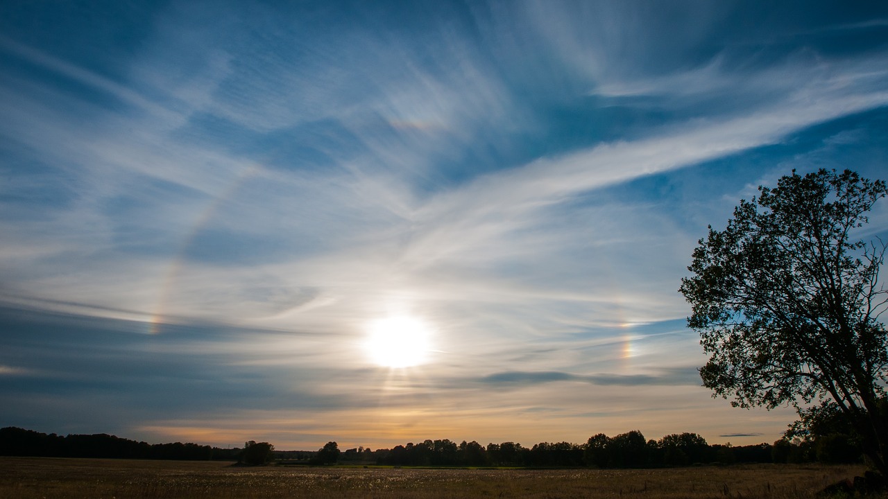 Image - nature sunset solfenomen tree