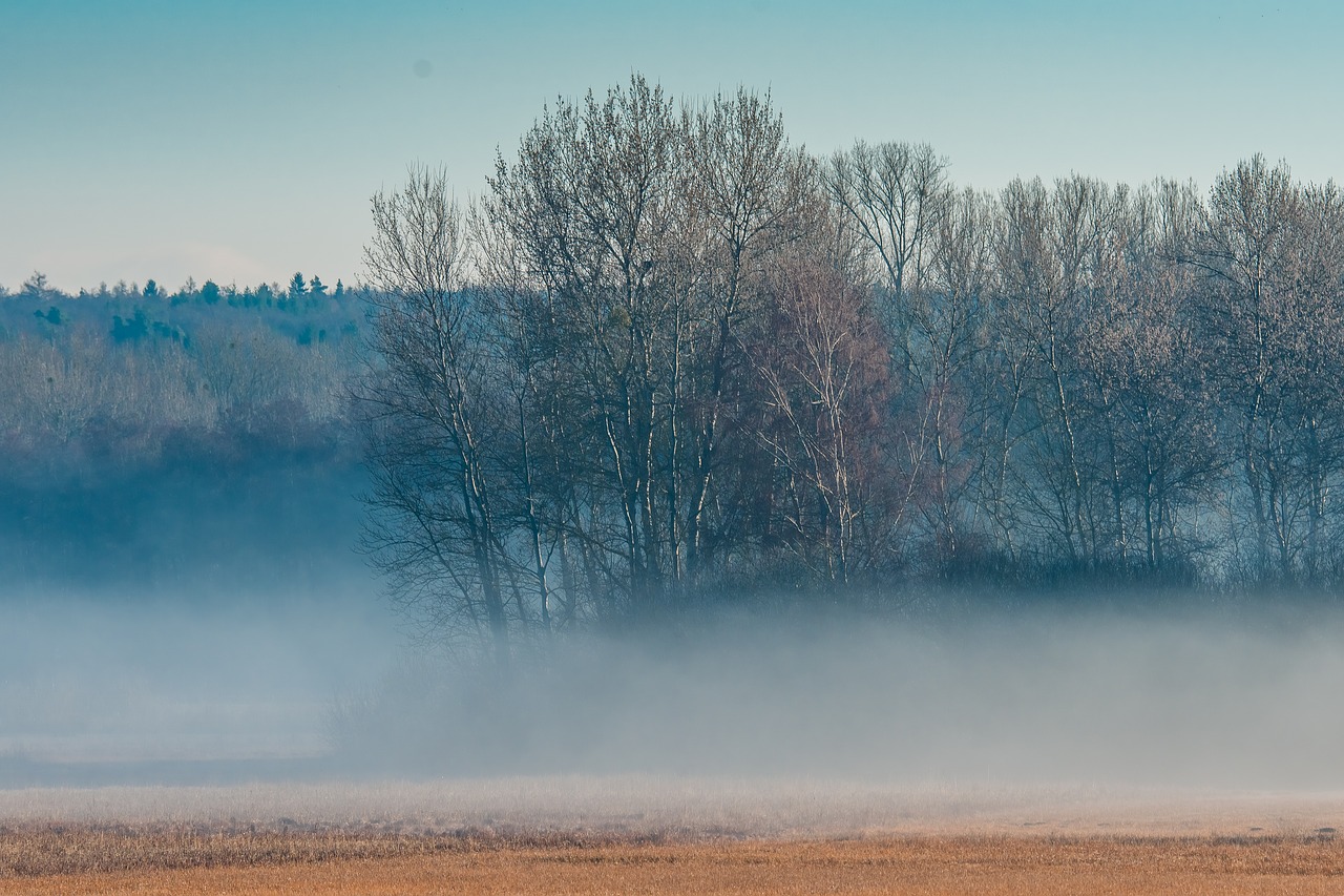 Image - morning fog mood skies rest