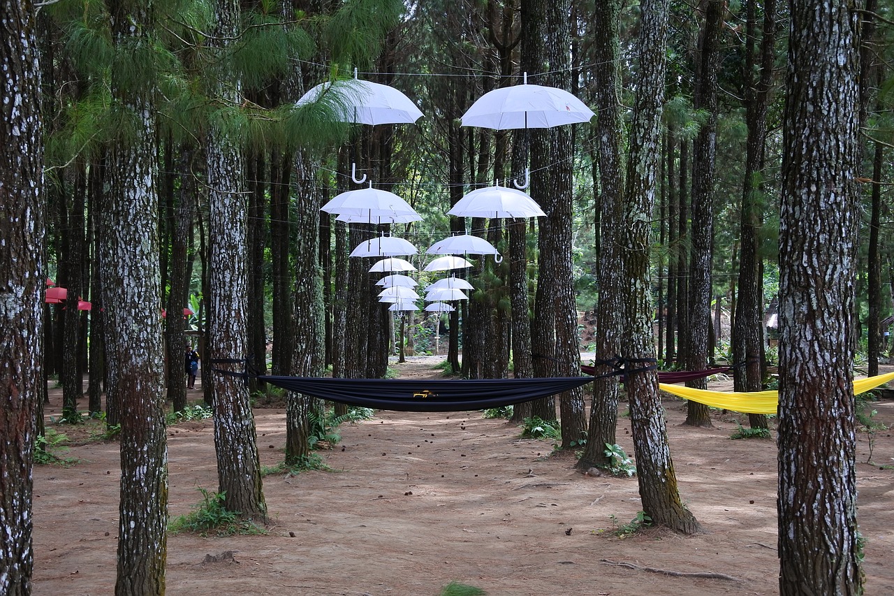 Image - umbrella forest rumah kayu sragi