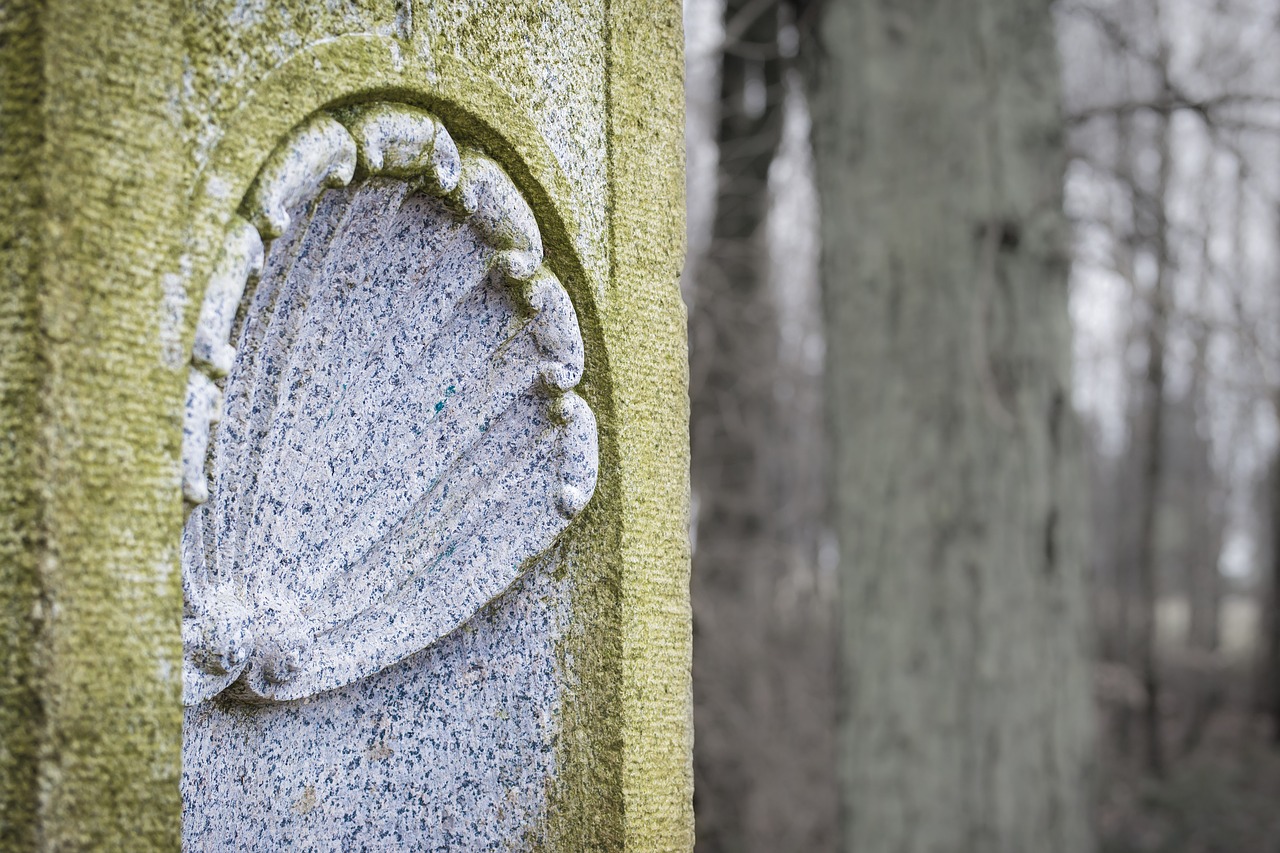 Image - ornament shell stone characters