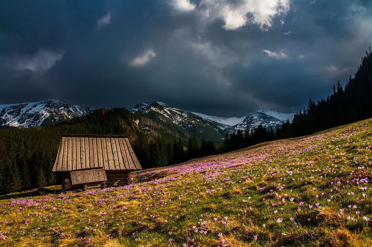 Image - mountains landscape log cabin