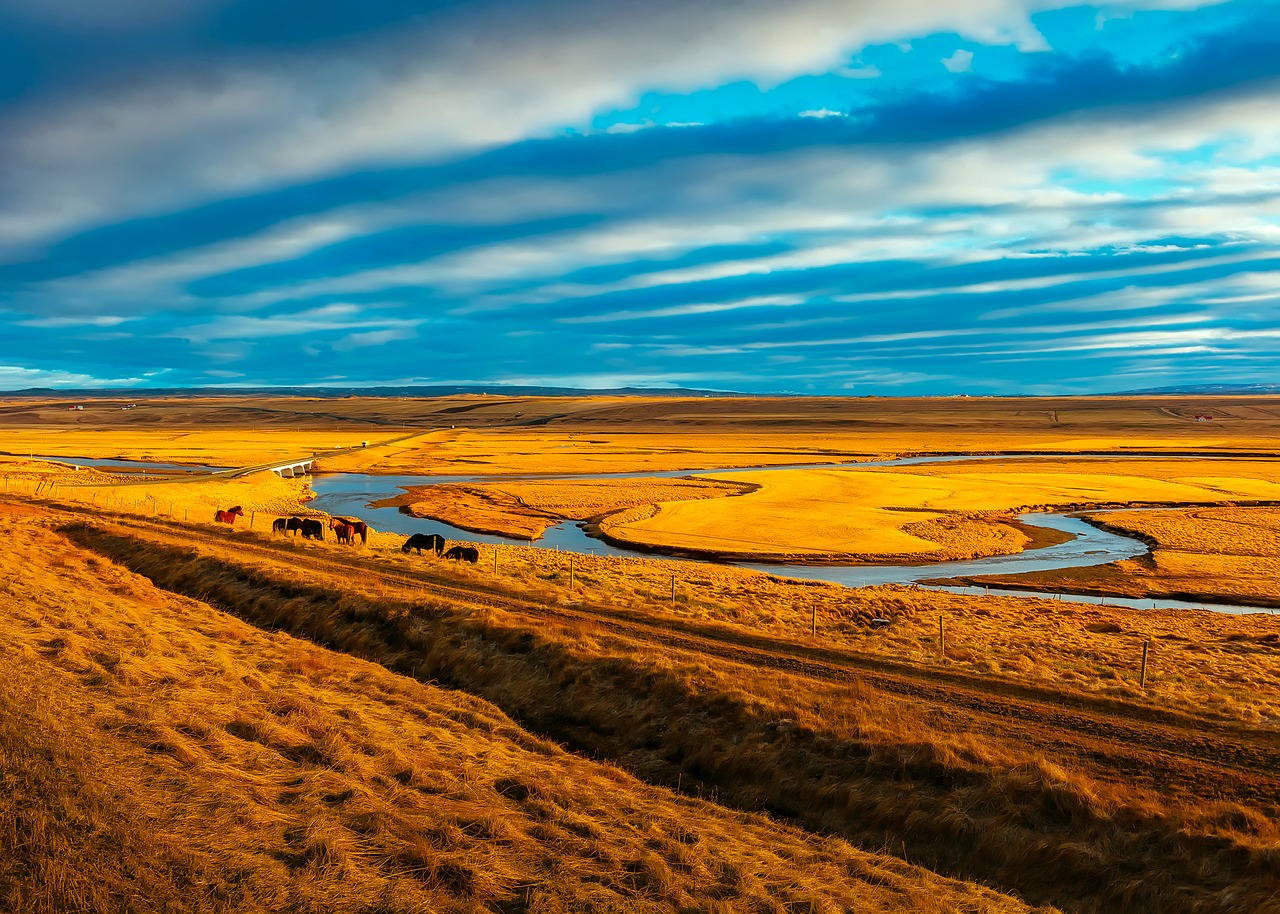 Image - iceland horses sky clouds