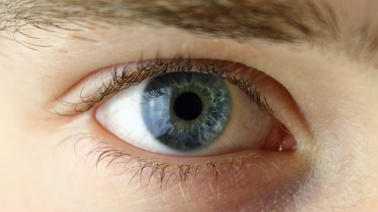 Image - eye face human green blue