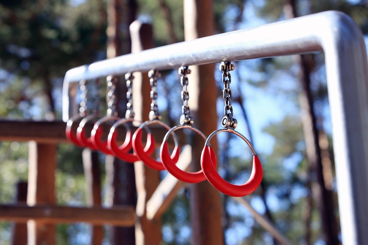 Image - children s playground rings