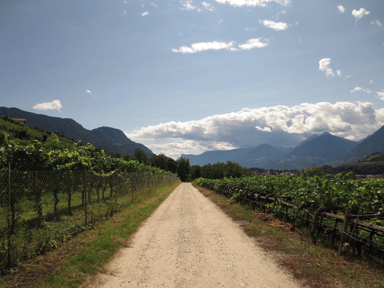 Image - summer vines away clouds mountains