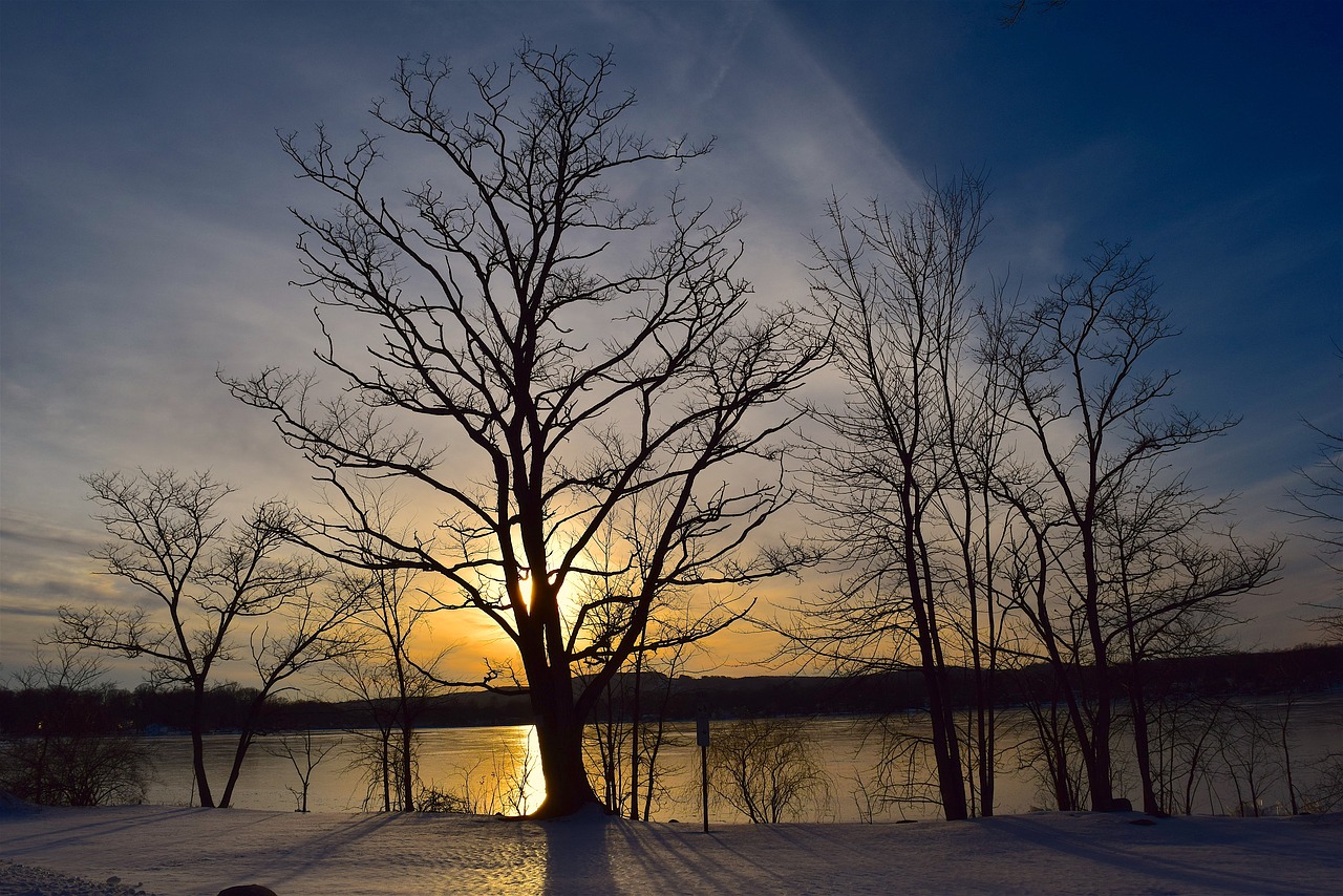 Image - tree silhouette sunset lake winter