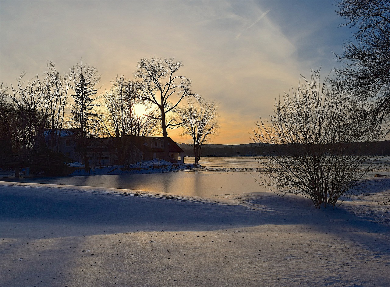 Image - tree silhouette sunset lake winter