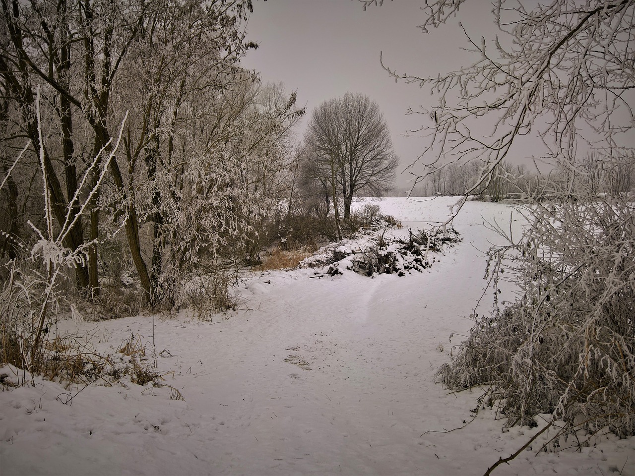 Image - landscape winter memories snow