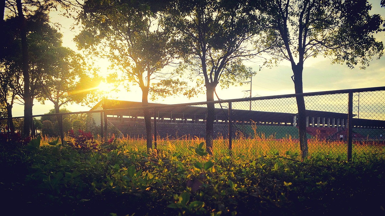 Image - campus sunset playground