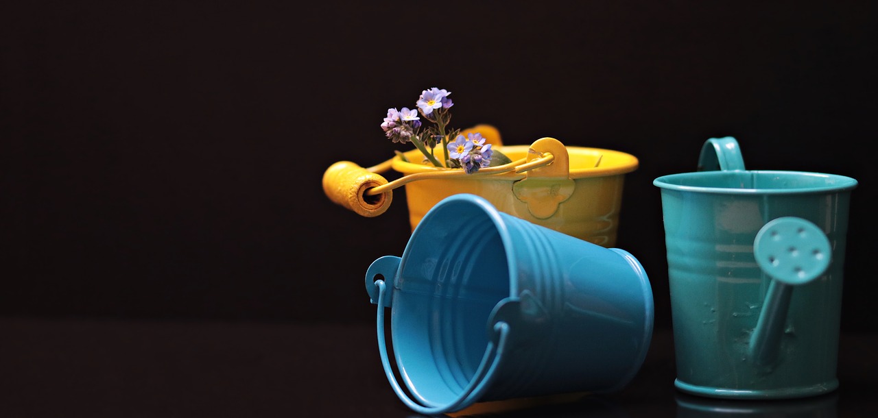 Image - bucket forget me not flower yellow