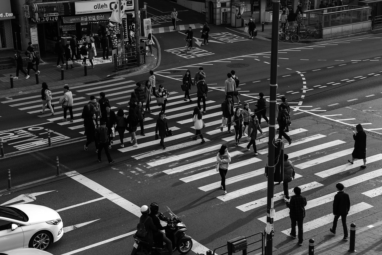 Image - the traffic light pedestrian crossing