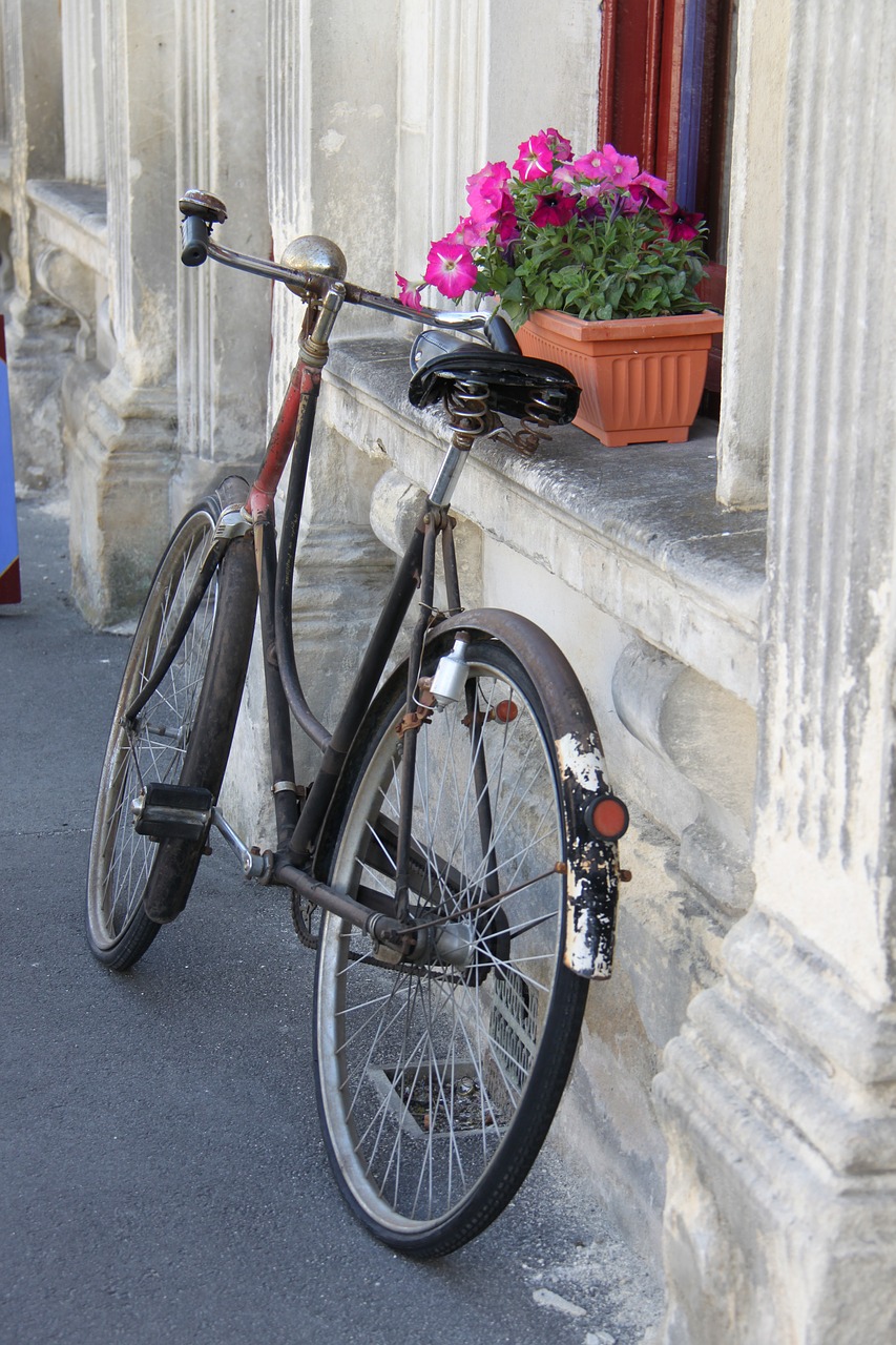 Image - bike bicycle vintage potplant