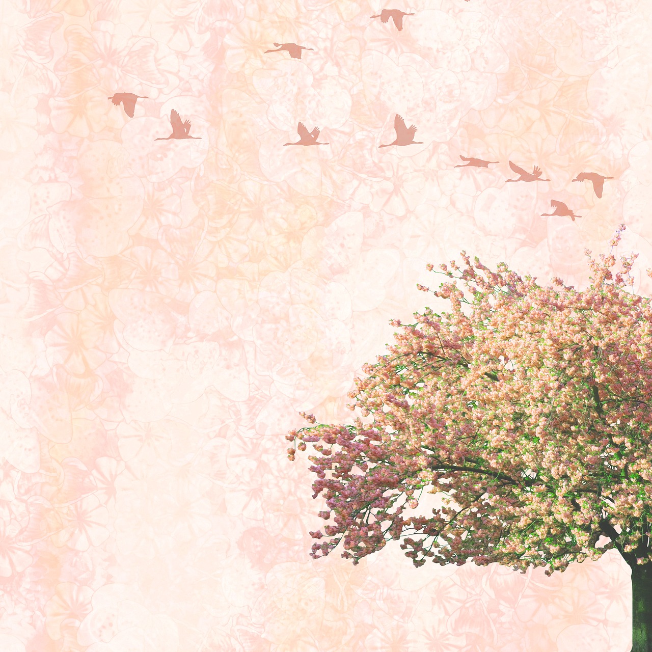 Image - background tree birds scrapbooking
