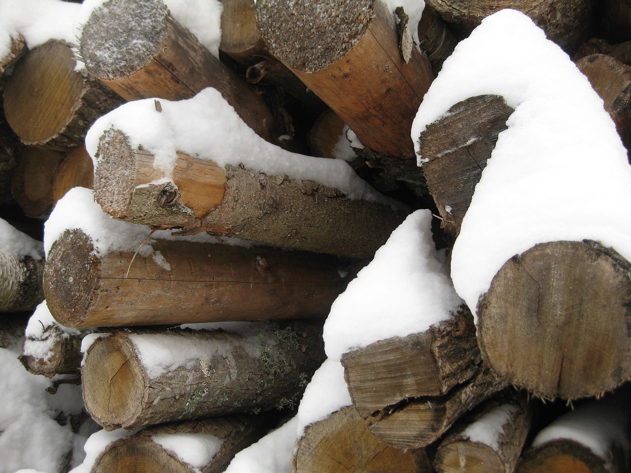 Image - wood logs close up on the logs