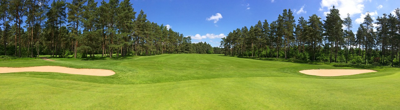 Image - golf green fairway forest trees