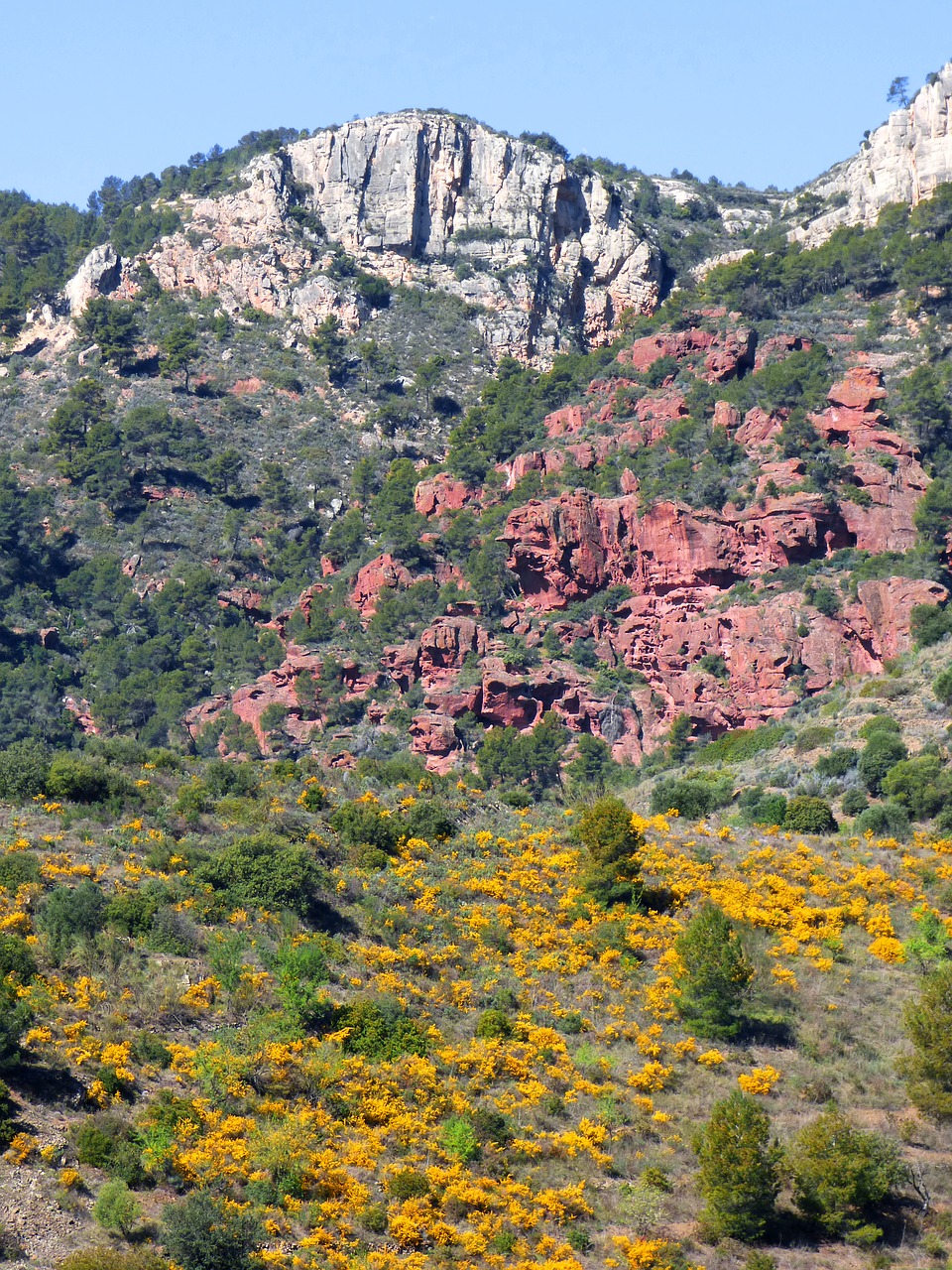 Image - landscape priorat red sandstone