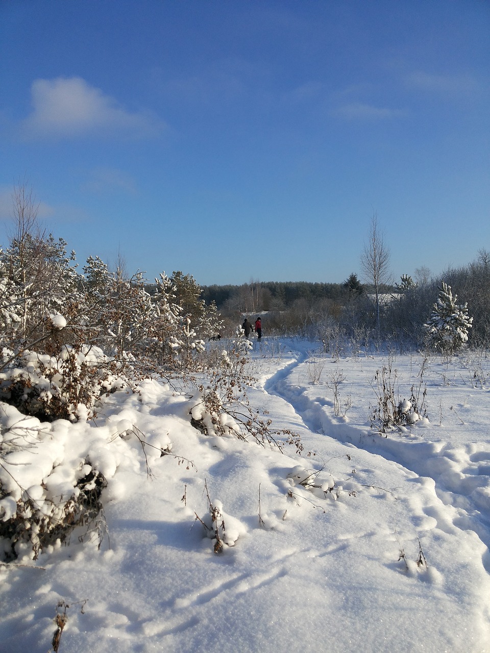 Image - the snow covered field snow frost