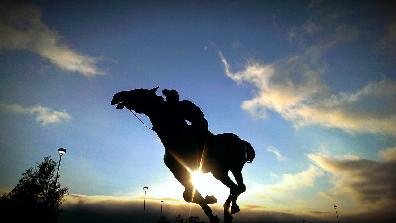 Image - horse horse riding rider sculpture