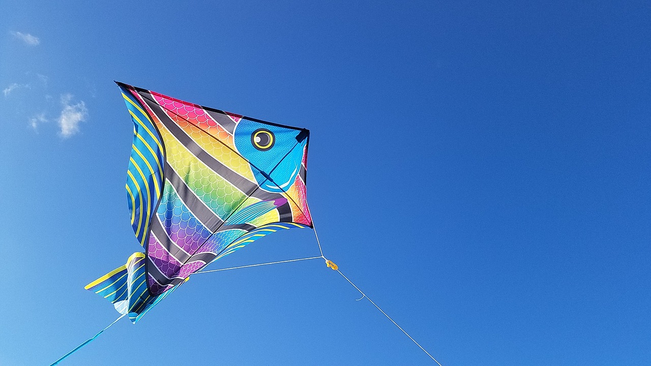 Image - kite jacksonville florida