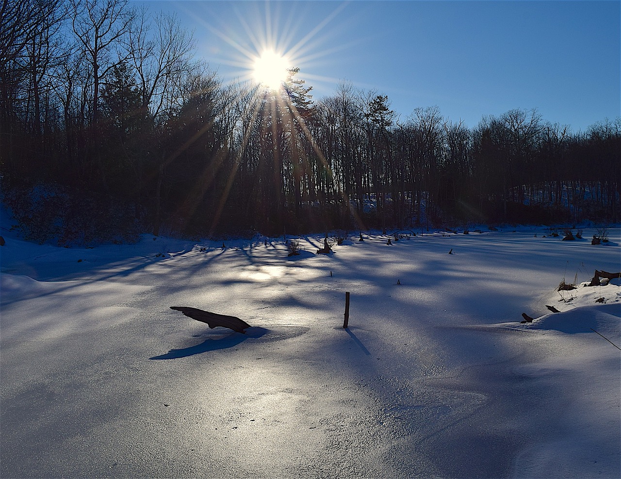 Image - ice sun snow nature winter cold