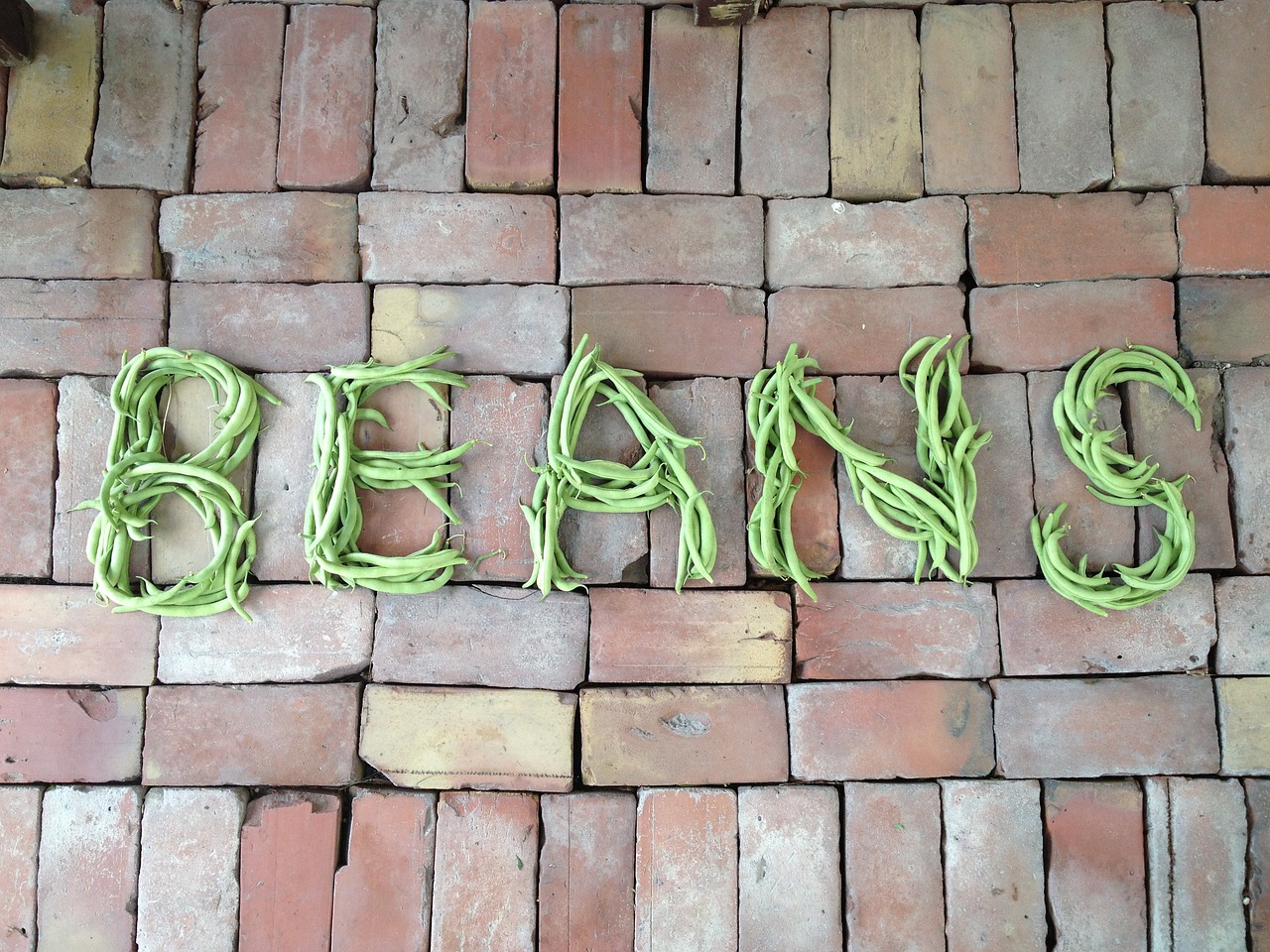 Image - beans vegetables vegetarian green