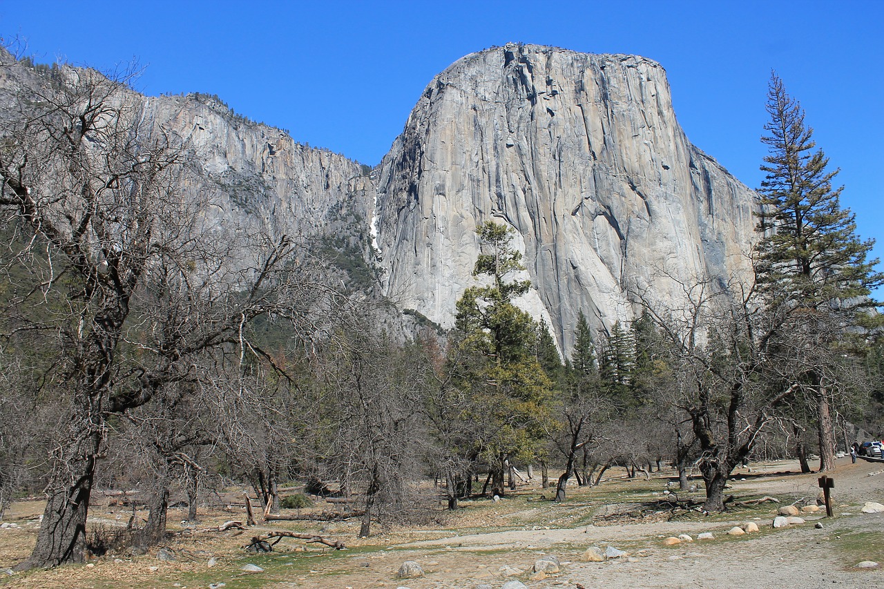 Image - el capitan yosemite tree park