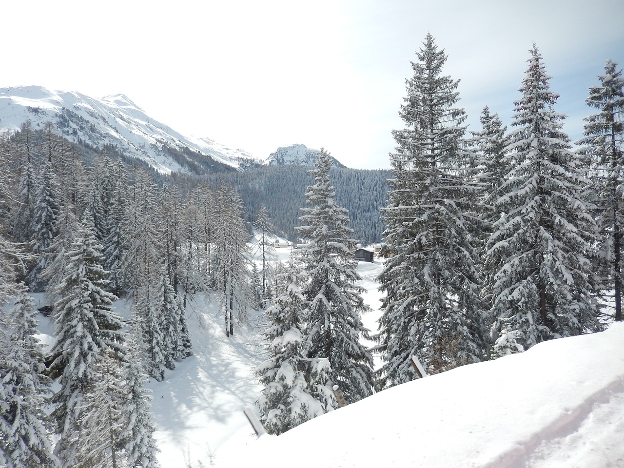 Image - wintry davos graubünden