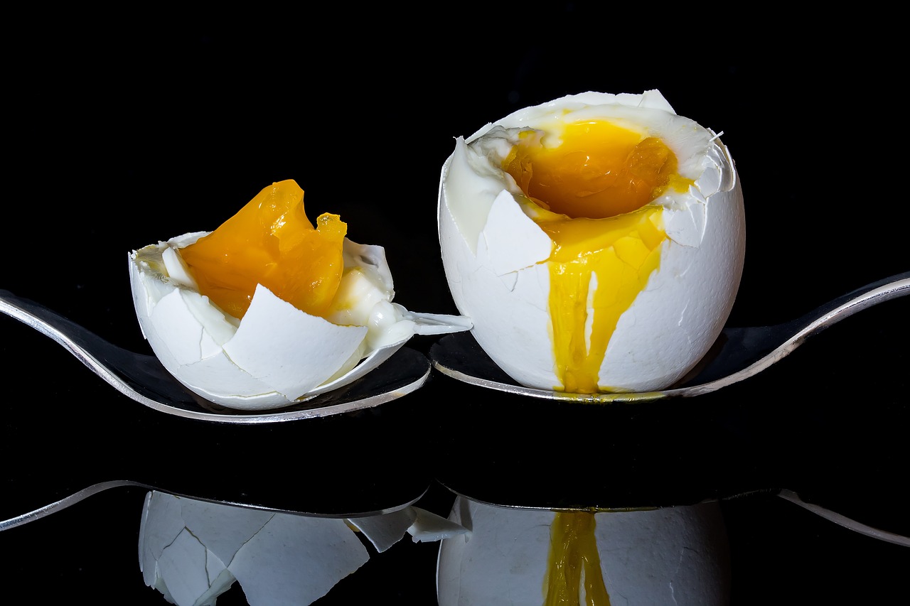 Image - egg bisected egg boiled egg yolk