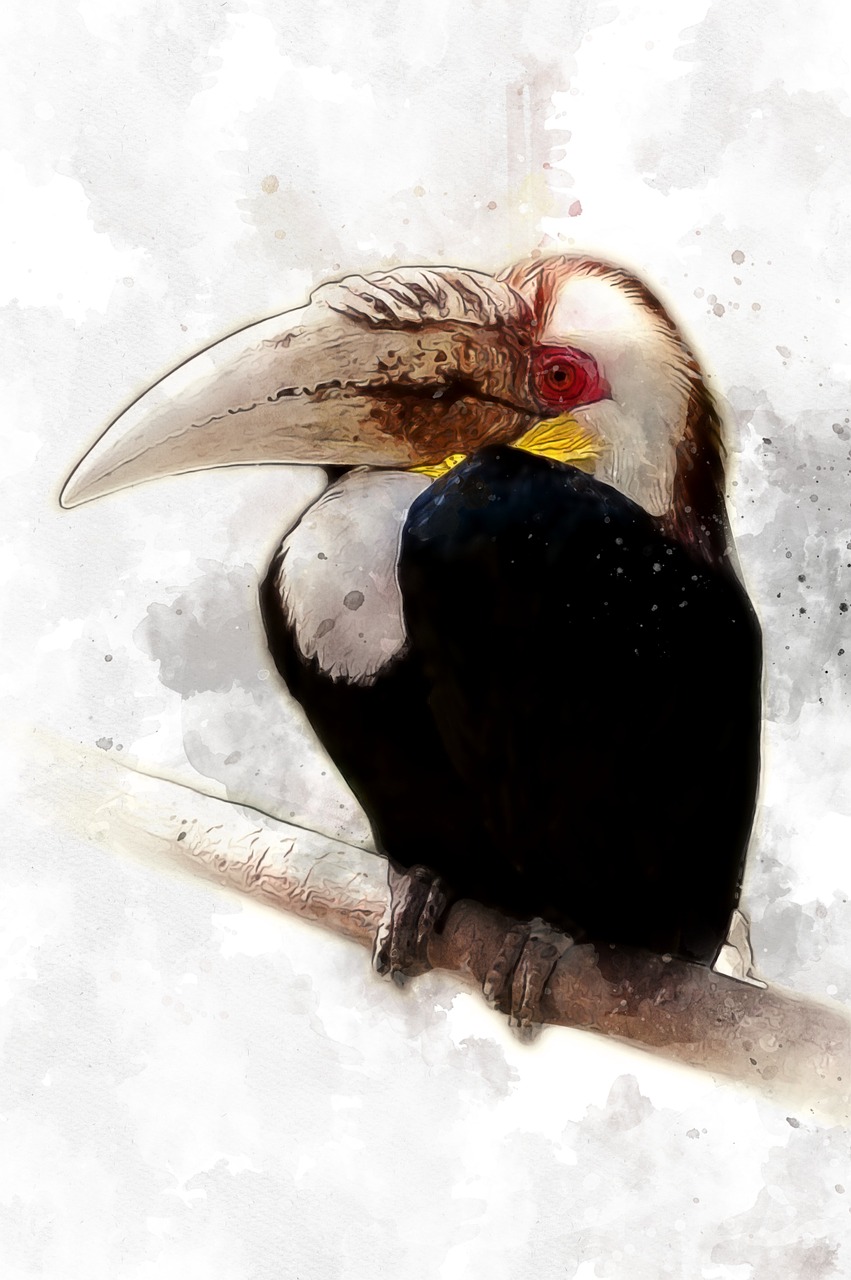 Image - hornbill bird animal tropical