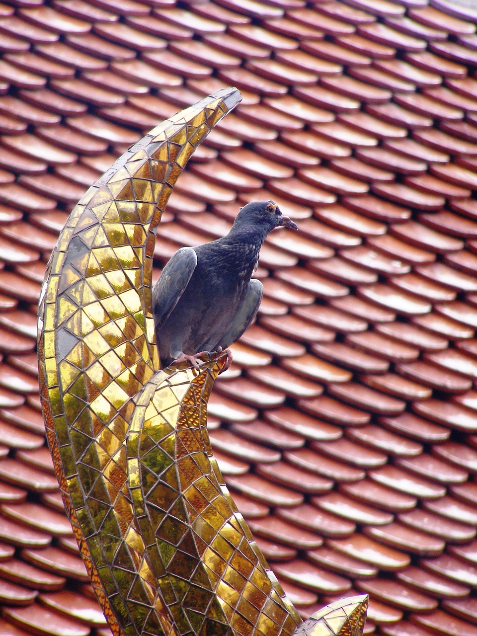 Image - dove bird golden ornament tile