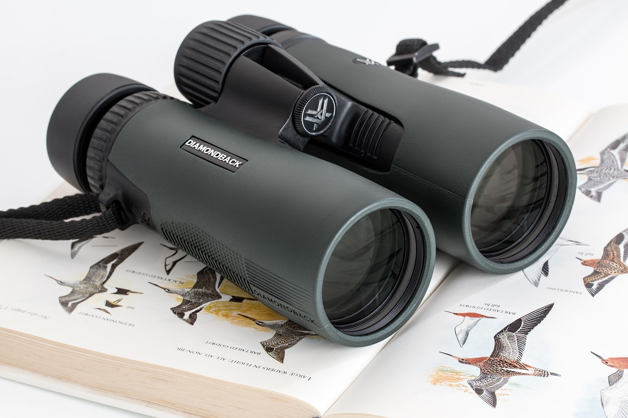 Image - binoculars birdwatching spy glass