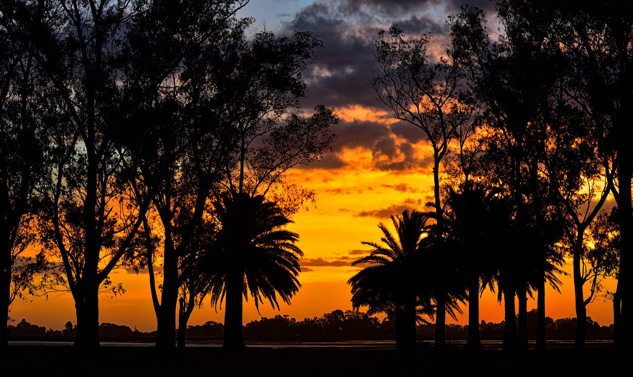 Image - sunset laguna landscape palms