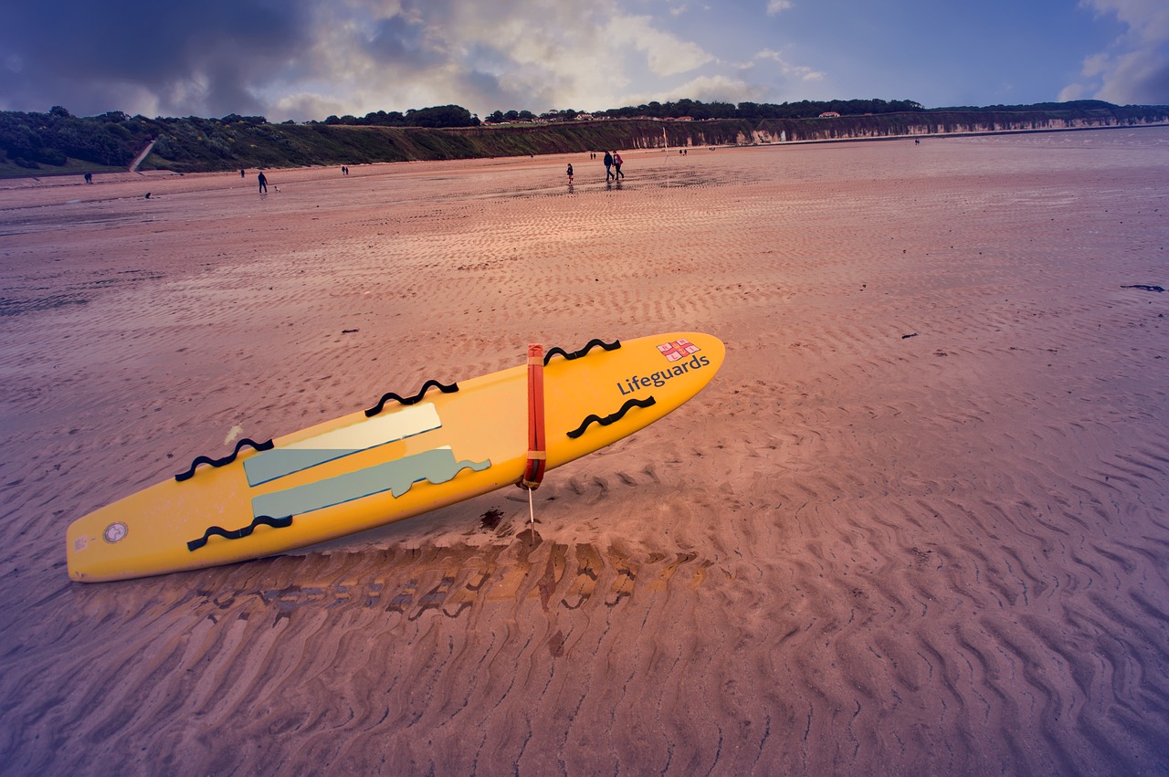 Image - beach coast lifeguards lifesaver