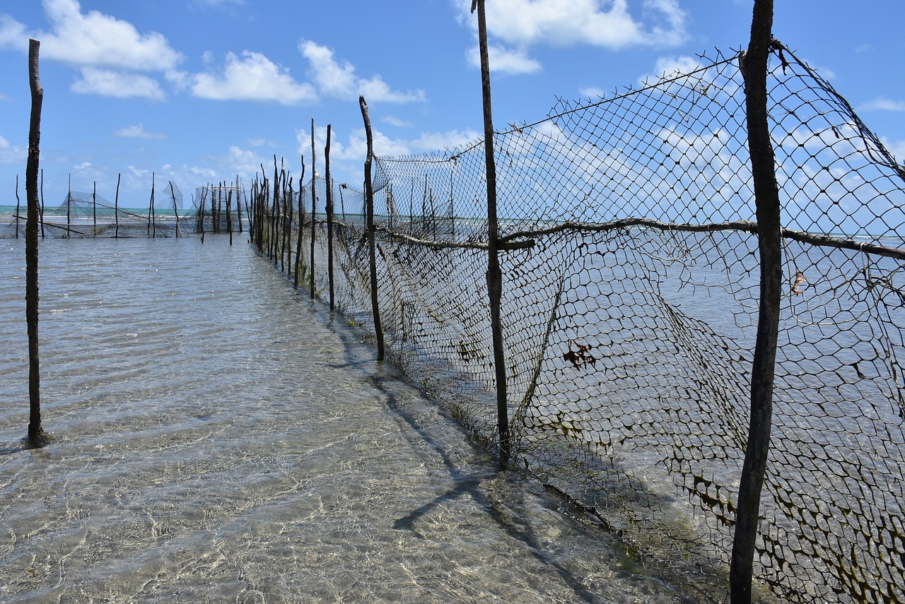 Image - fishery mar beach