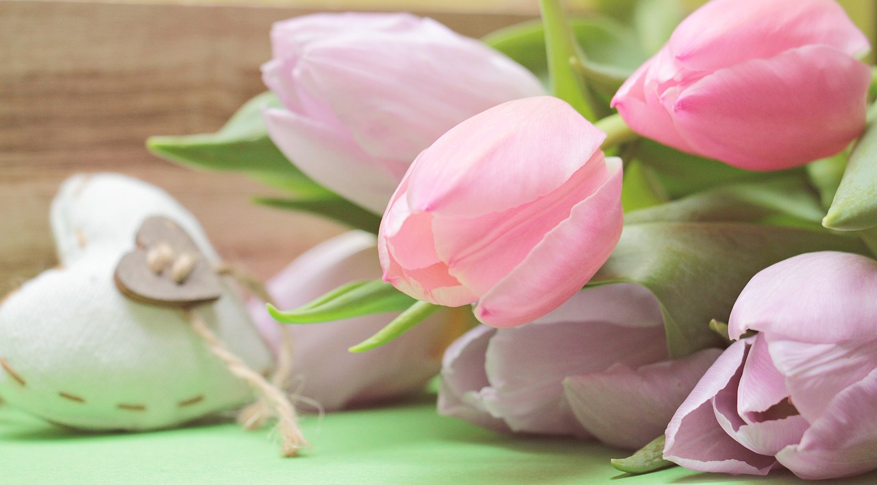 Image - tulips flowers heart bloom spring