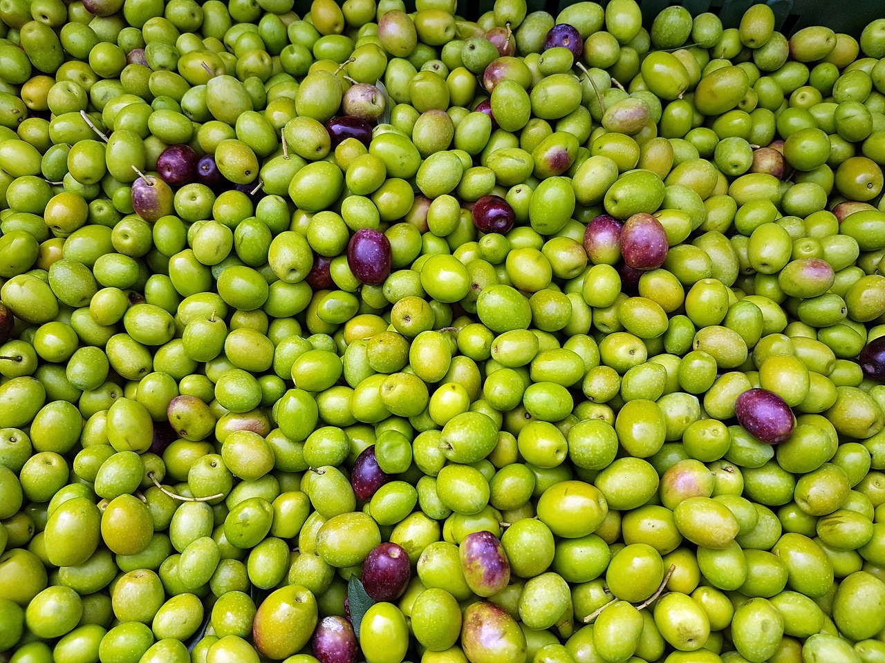 Image - olives fruit mediterranean natural