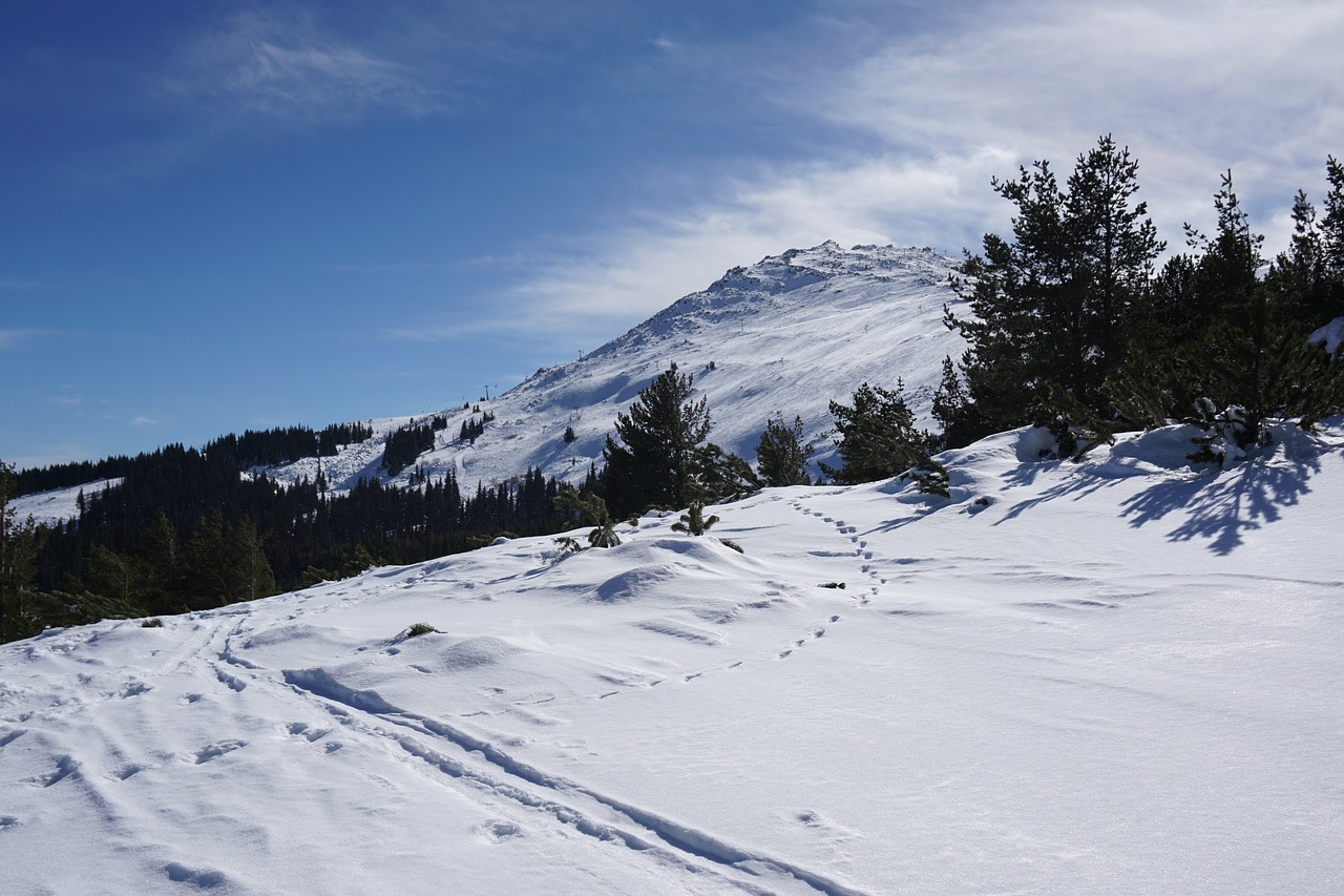 Image - vitosha sofia bulgaria peak snow