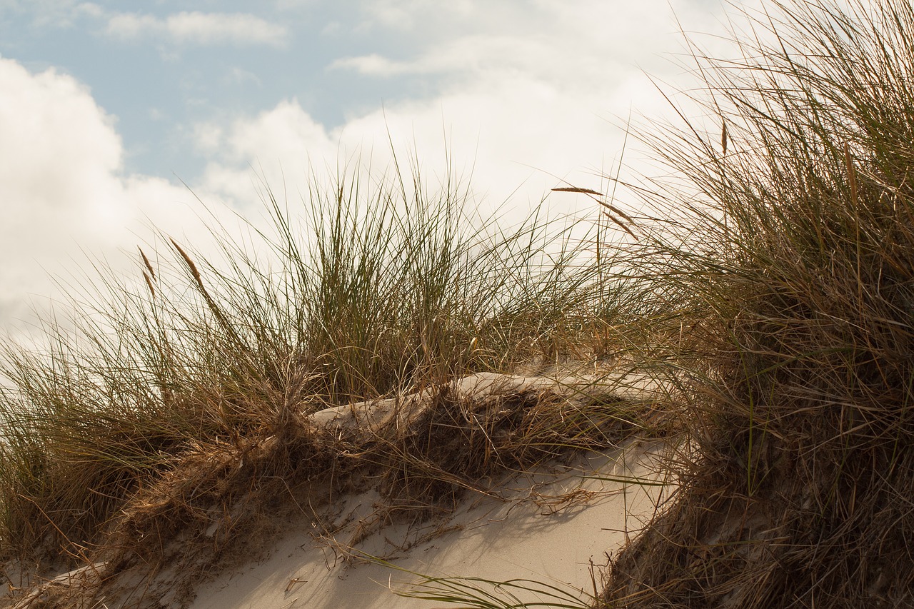 Image - dune island north sea amrum