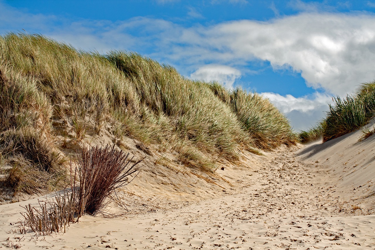 Image - dune amrum island north sea sky