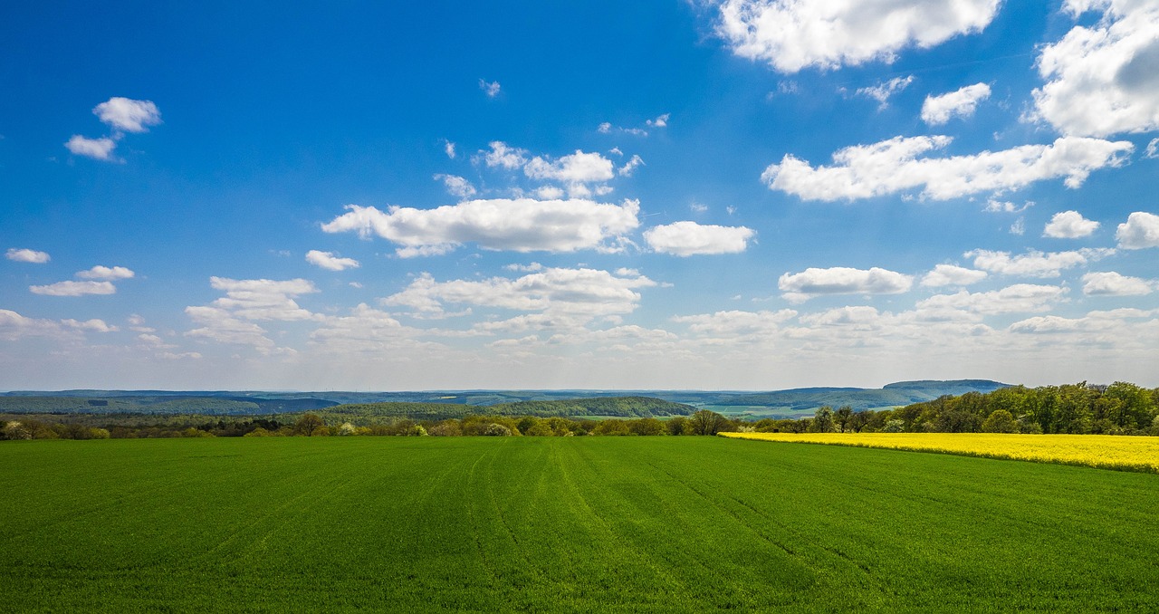 Image - landscape spring field sky clouds