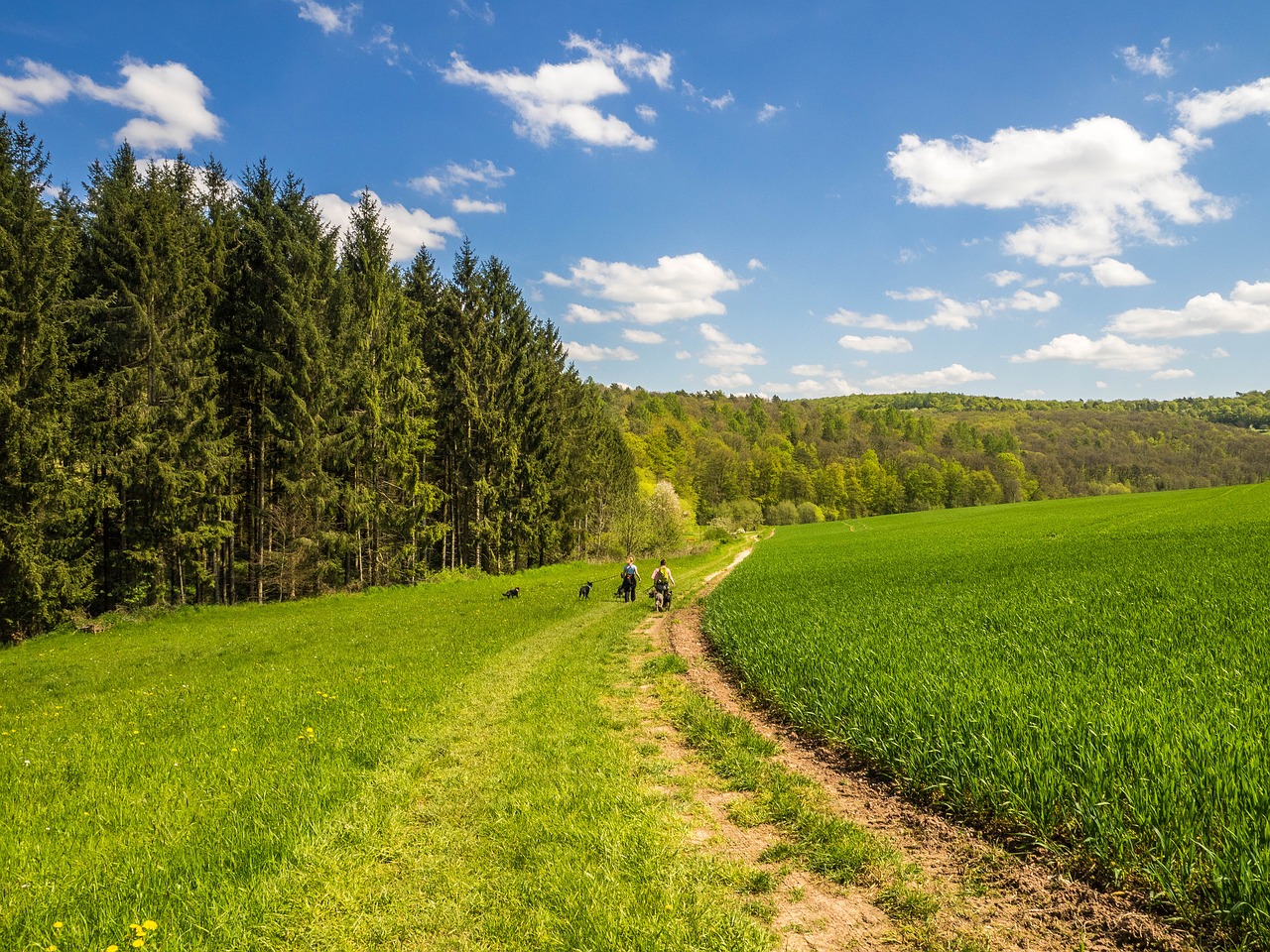 Image - landscape spring hiking nature