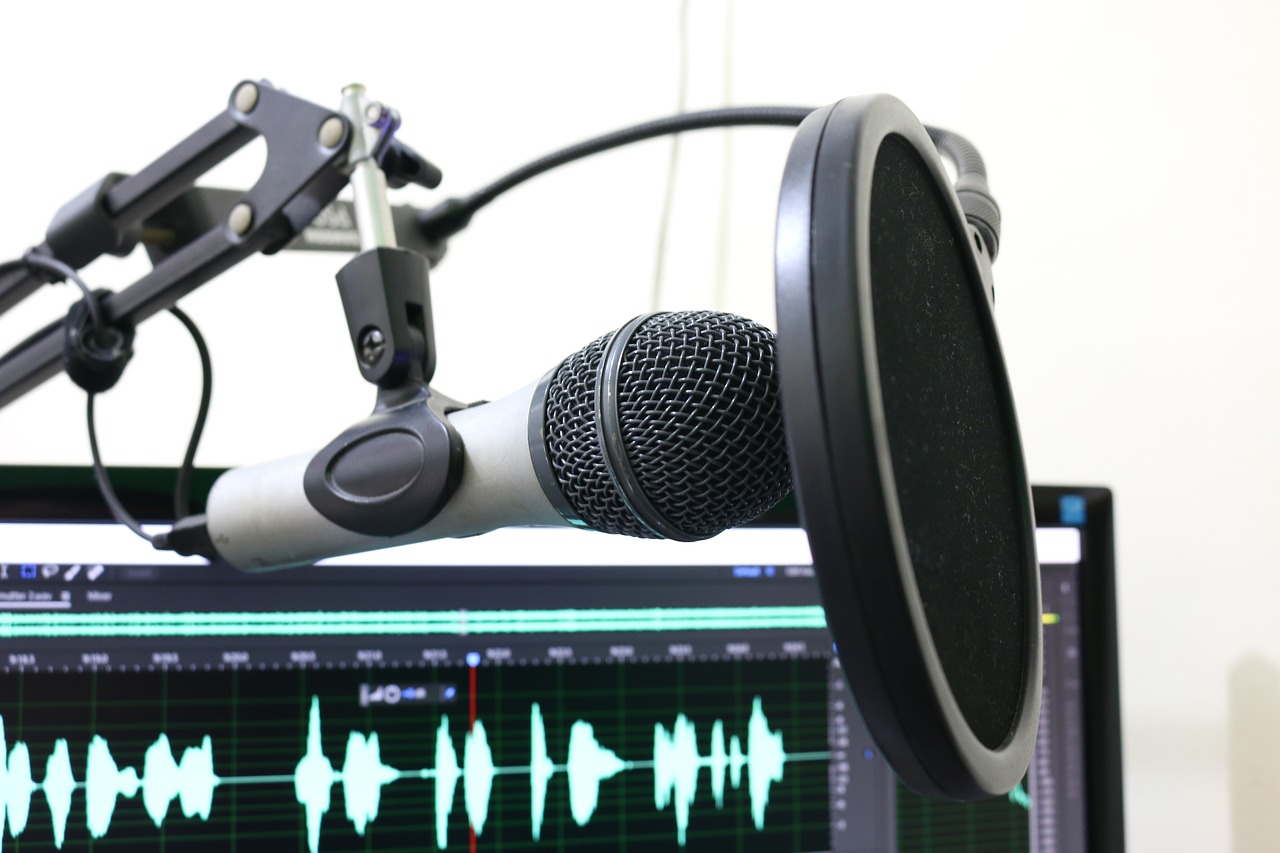 Image - microphone podcast pop filter music