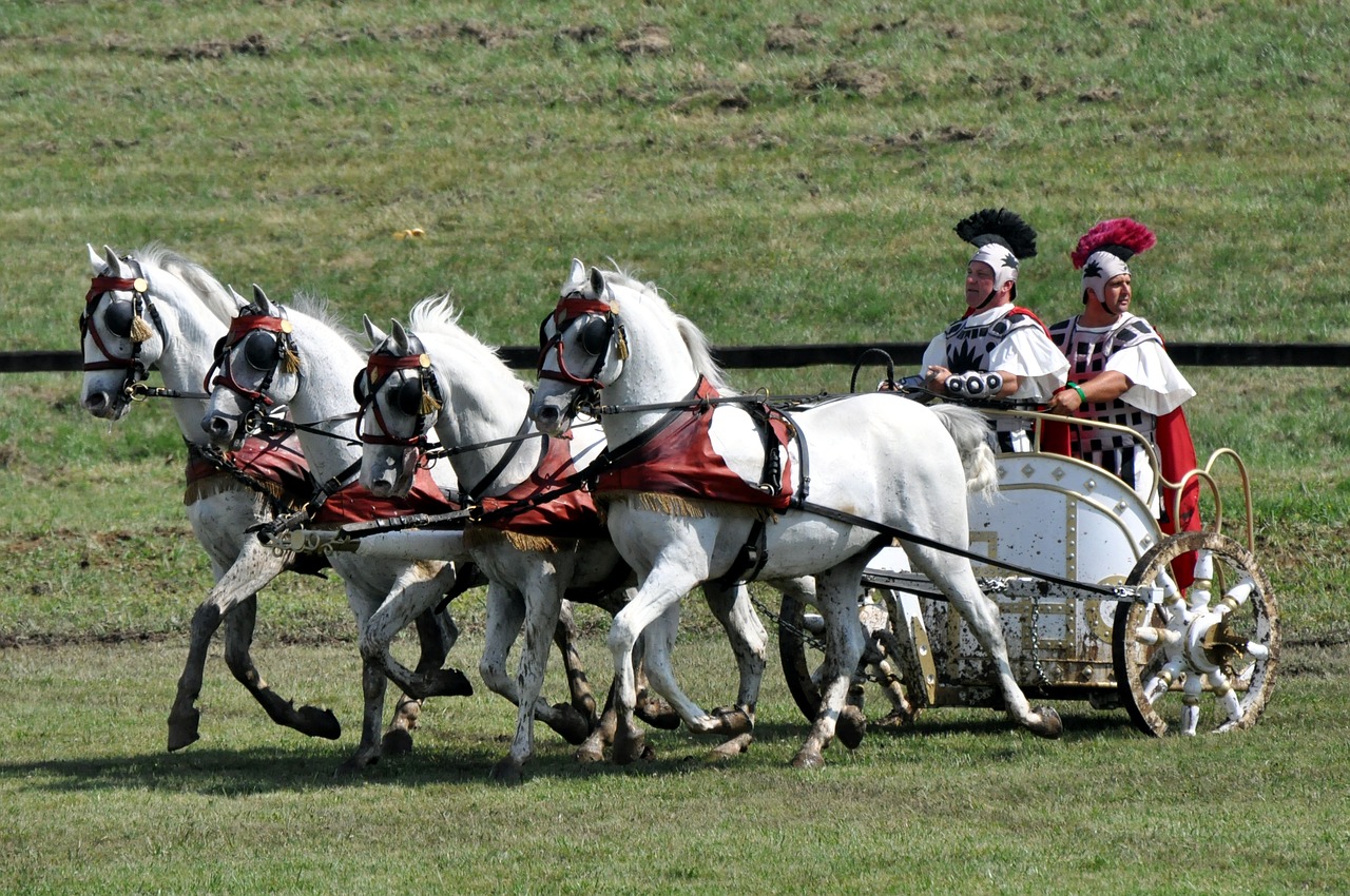 Image - biga lipizzaner four teeth roman