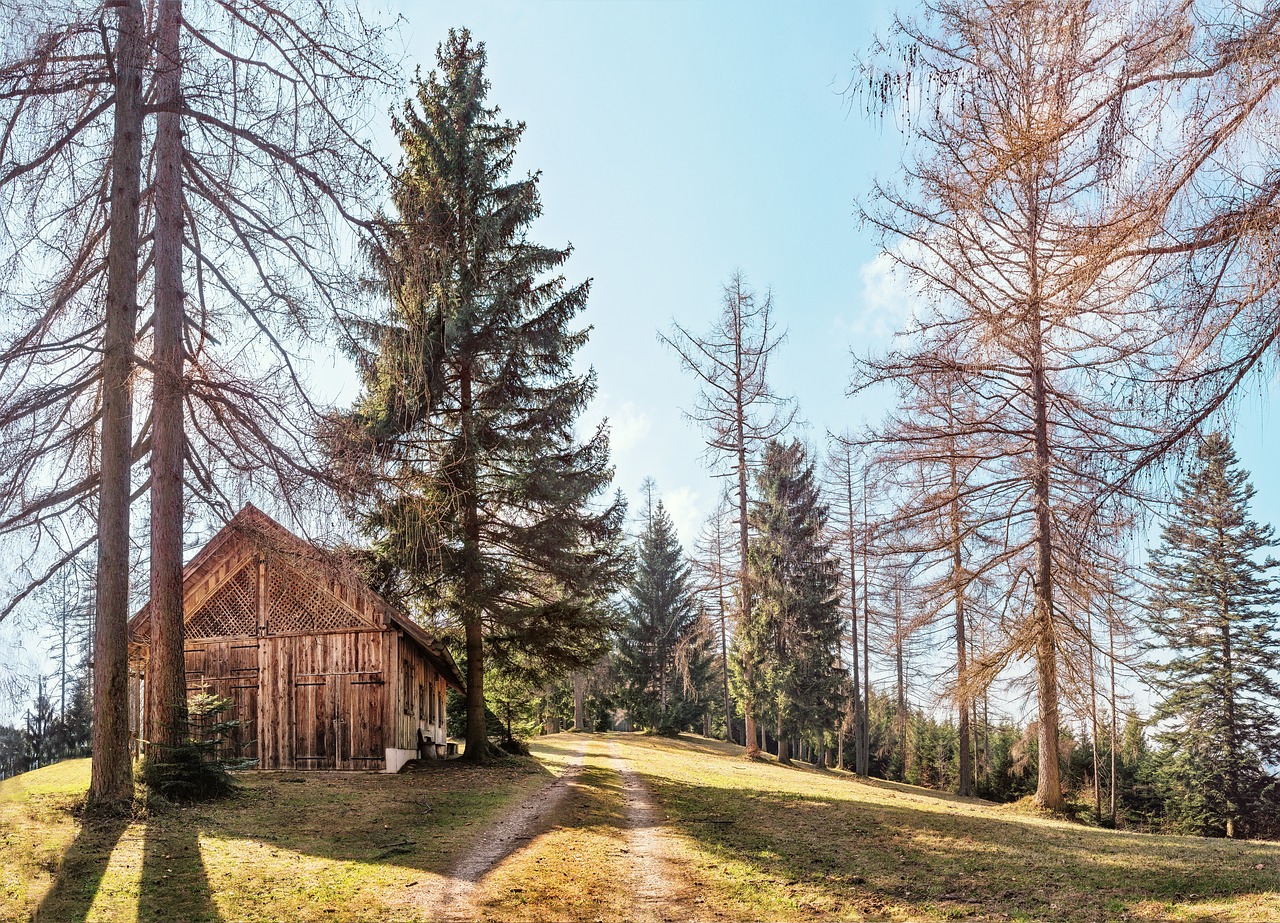 Image - hut hill salzkammergut trees