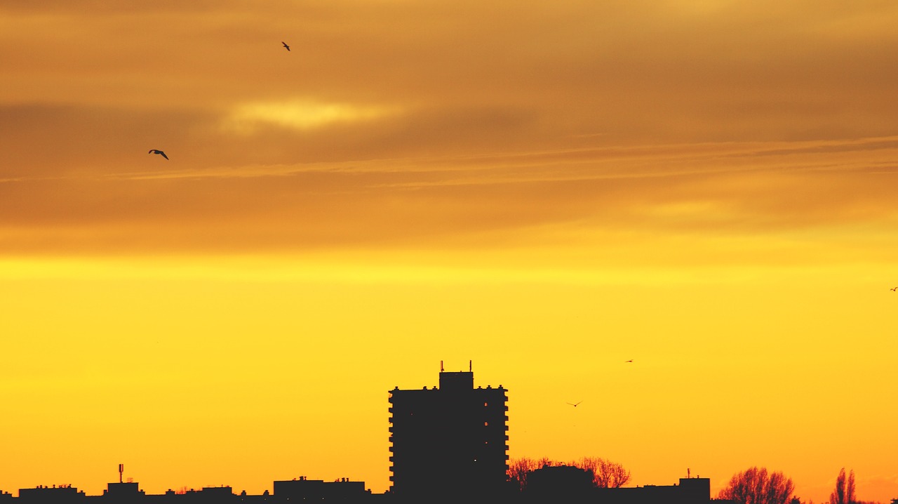 Image - architecture backlit birds city