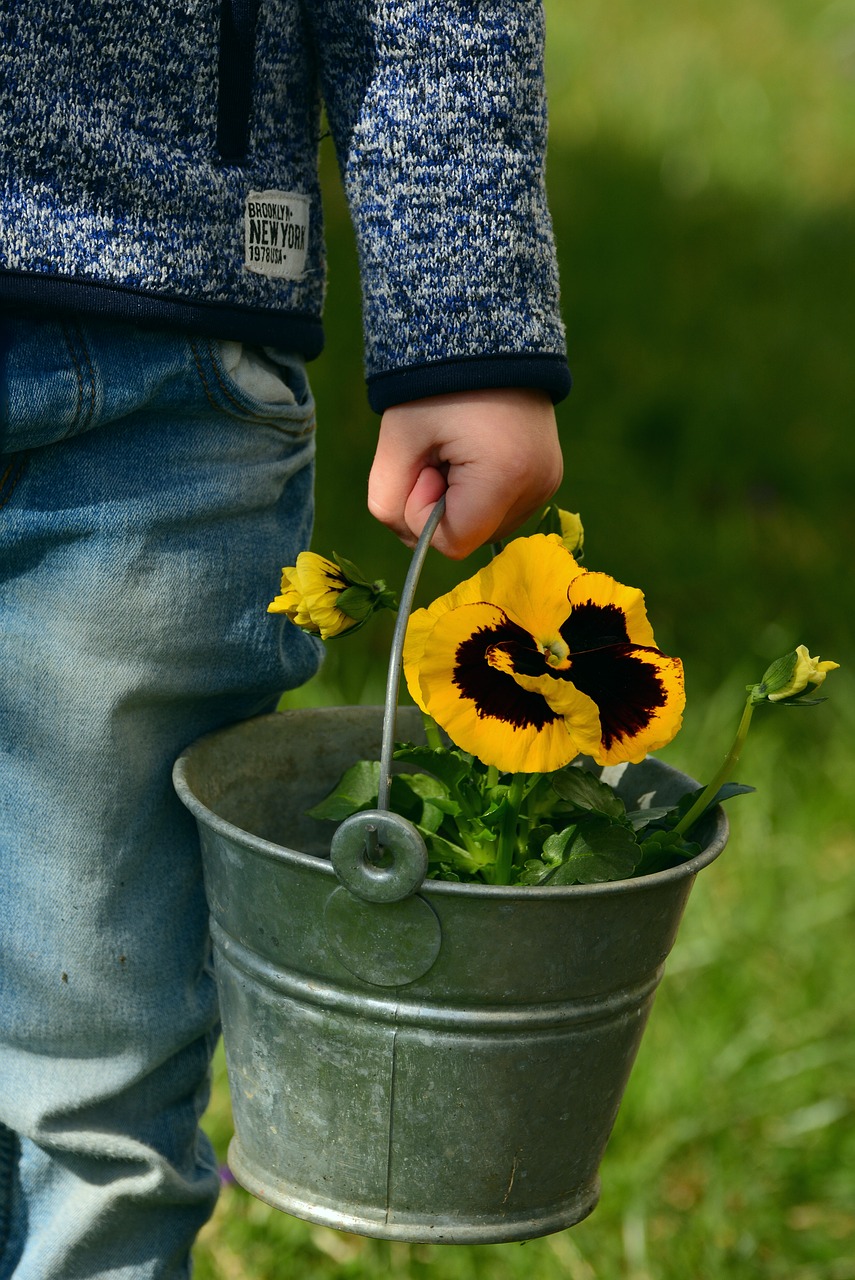 Image - pansy child child s hand hands