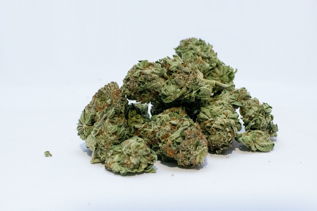 Image - marijuana cannabis weed bud green