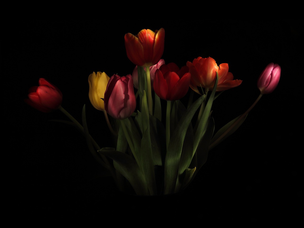 Image - tulips strauss vase onion